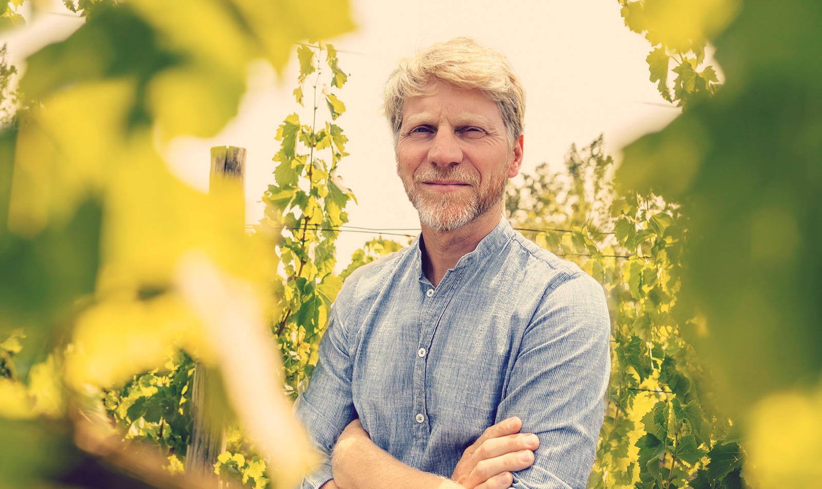 Léopold Croizet dans les vignes